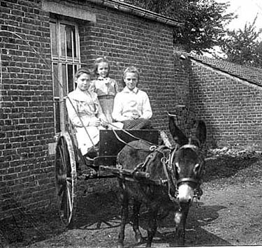 Au Gard vers 1906 ou 1907 : Jenny et Marie-Thérèse Brasseur au centre et à droite. A gauche, Madeleine Brasseur venue rendre une petite visite à ses cousines.